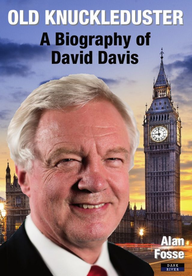 David Davis Book Biography